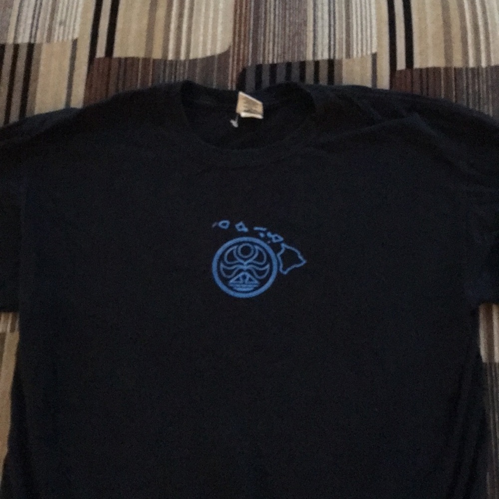 Hawaiian island creation T